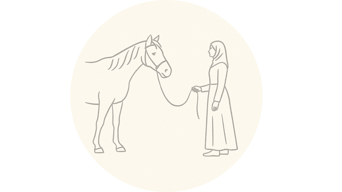 Was ich von Pferden über Geduld gelernt habe